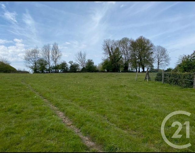 terrain à vendre - 1331.0 m2 - FOURNEVILLE - 14 - BASSE-NORMANDIE - Century 21 Tirard-Gardie