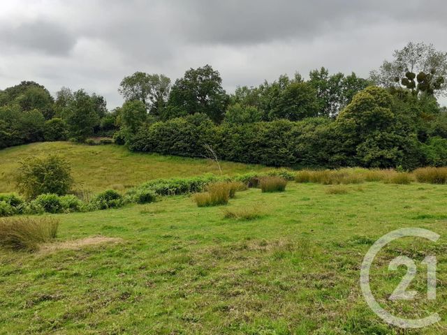 maison à vendre - 7 pièces - 180.0 m2 - BONNEBOSQ - 14 - BASSE-NORMANDIE - Century 21 Tirard-Gardie