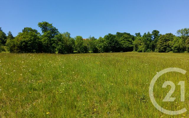 terrain - PONT L EVEQUE - 14