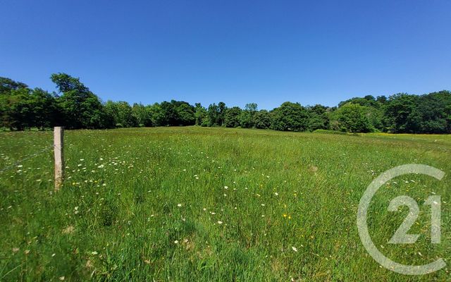 terrain à vendre - 1350.0 m2 - PONT L EVEQUE - 14 - BASSE-NORMANDIE - Century 21 Tirard-Gardie