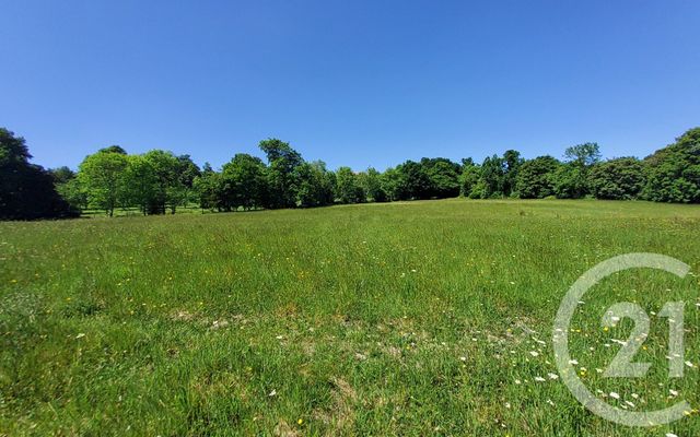 terrain à vendre - 1350.0 m2 - PONT L EVEQUE - 14 - BASSE-NORMANDIE - Century 21 Tirard-Gardie