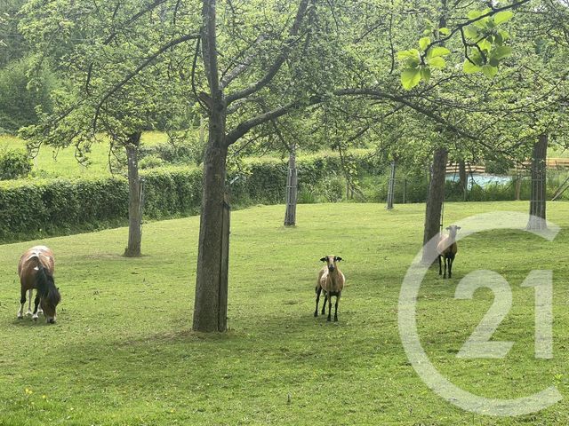 maison à vendre - 8 pièces - 230.0 m2 - COQUAINVILLIERS - 14 - BASSE-NORMANDIE - Century 21 Tirard-Gardie