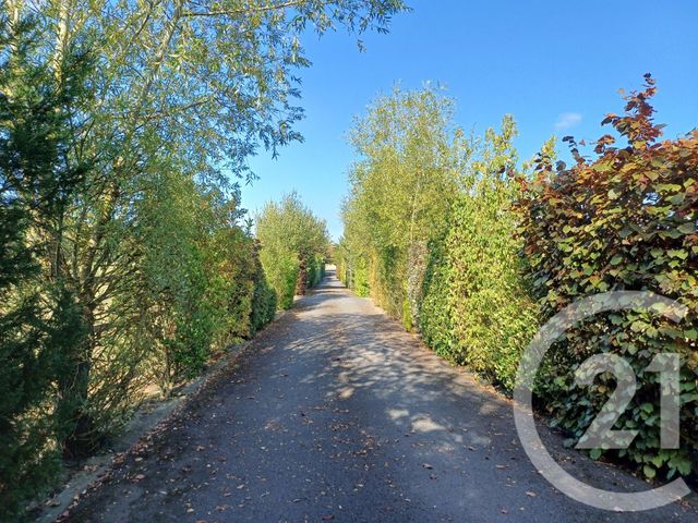 maison à vendre - 8 pièces - 205.5 m2 - MEZIDON VALLEE D AUGE - 14 - BASSE-NORMANDIE - Century 21 Tirard-Gardie