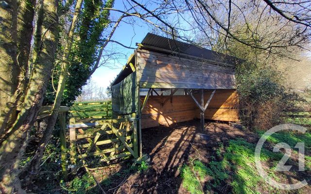 maison à vendre - 5 pièces - 100.0 m2 - BONNEBOSQ - 14 - BASSE-NORMANDIE - Century 21 Tirard-Gardie