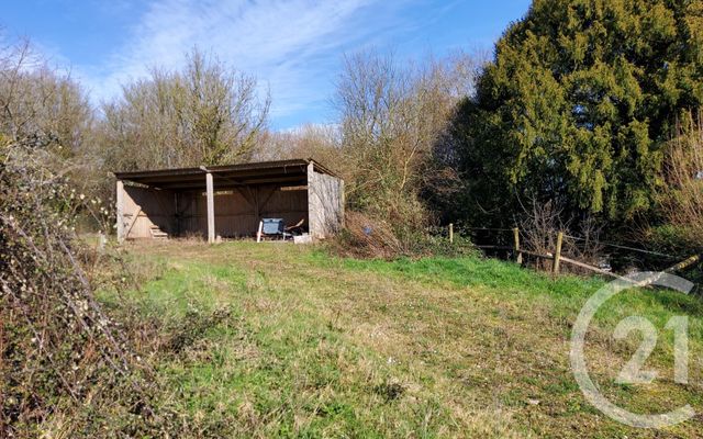 maison à vendre - 5 pièces - 100.0 m2 - BONNEBOSQ - 14 - BASSE-NORMANDIE - Century 21 Tirard-Gardie