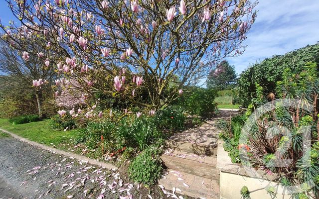 maison à vendre - 6 pièces - 116.0 m2 - PONT L EVEQUE - 14 - BASSE-NORMANDIE - Century 21 Tirard-Gardie