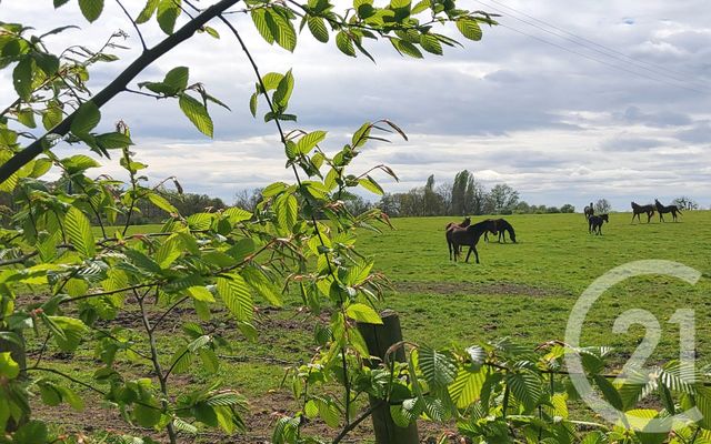 maison à vendre - 8 pièces - 164.0 m2 - PONT L EVEQUE - 14 - BASSE-NORMANDIE - Century 21 Tirard-Gardie