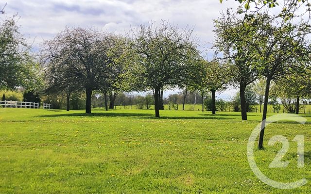 maison à vendre - 8 pièces - 164.0 m2 - PONT L EVEQUE - 14 - BASSE-NORMANDIE - Century 21 Tirard-Gardie