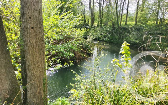 maison à vendre - 8 pièces - 164.0 m2 - PONT L EVEQUE - 14 - BASSE-NORMANDIE - Century 21 Tirard-Gardie